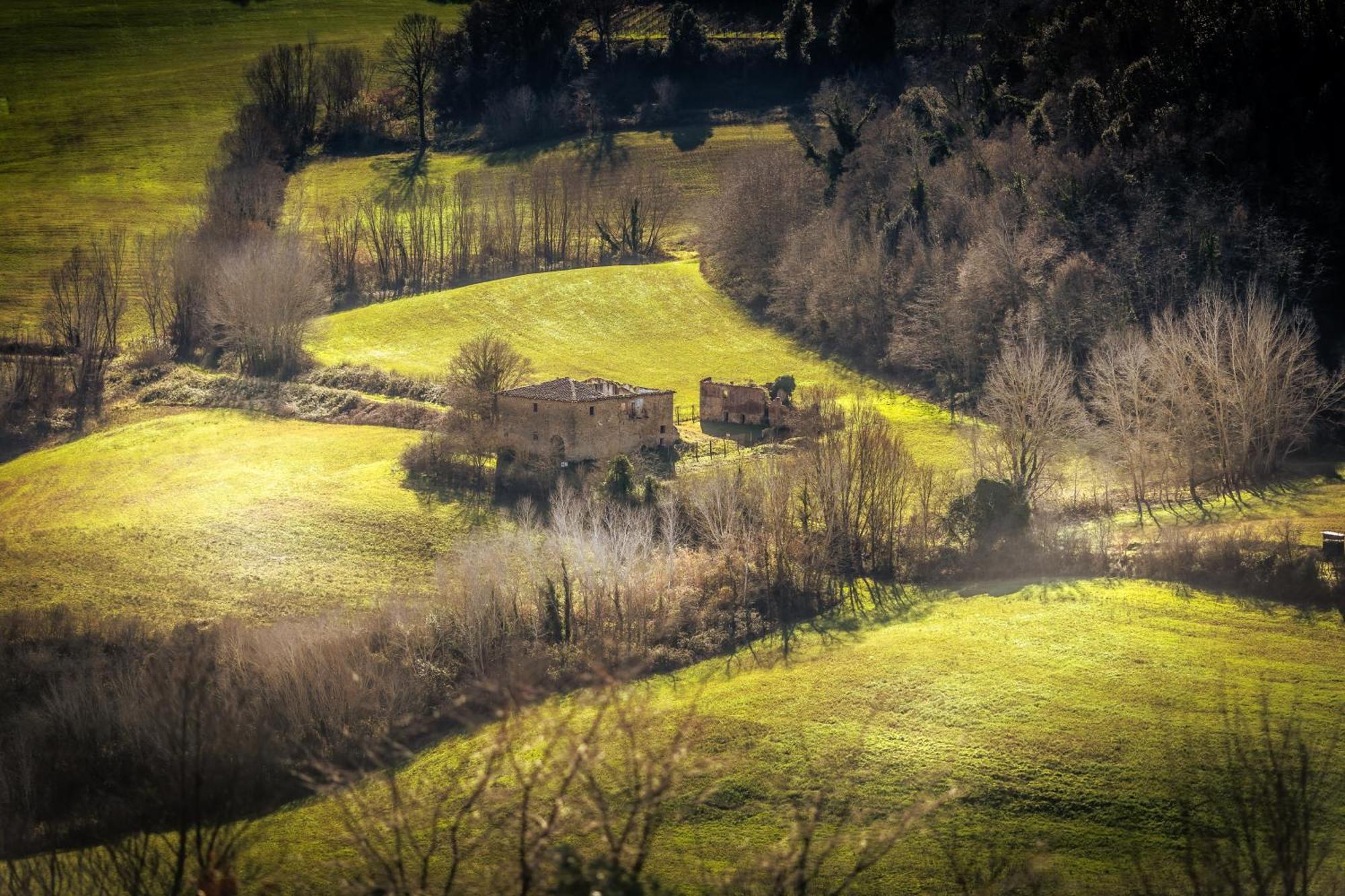Borgo Il Poggio Agritourismo Vila Montaione Exterior foto